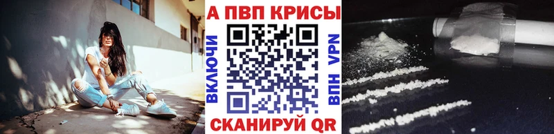 A PVP СК  Ачинск 