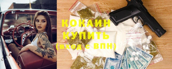 гидра Володарск