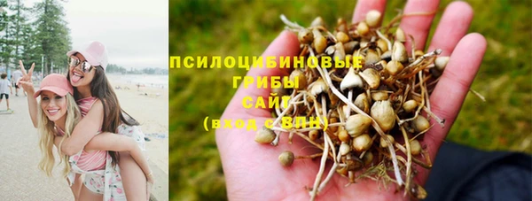 твердый Верея