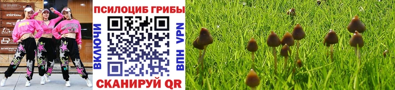 дарнет шоп  Ачинск  Галлюциногенные грибы прущие грибы 