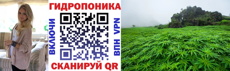 Шишки марихуана VHQ  купить  сайты  Ачинск 
